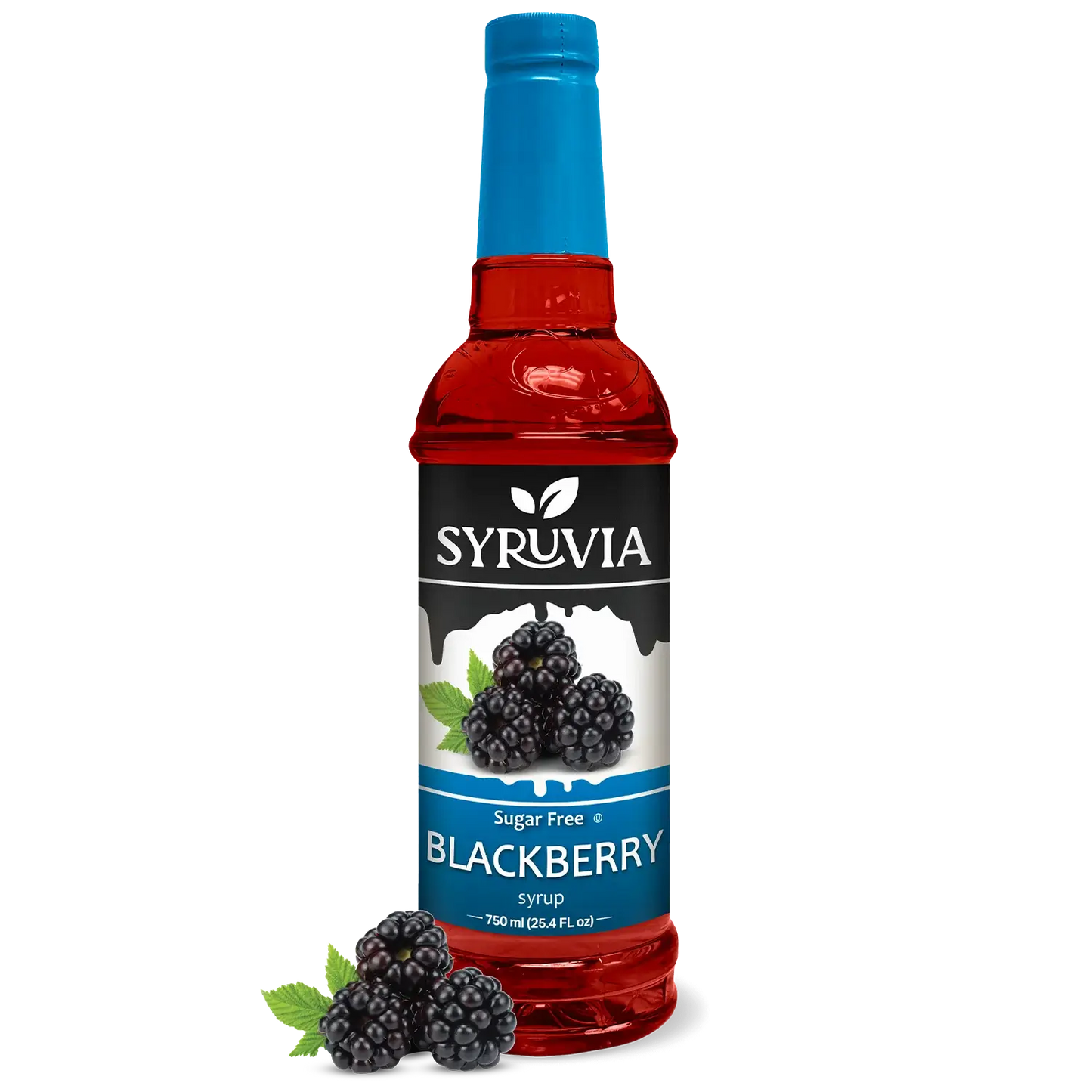 Syruvia - Sugar-Free Blackberry Syrup